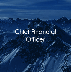 Healthcare Chief Financial officer jobs