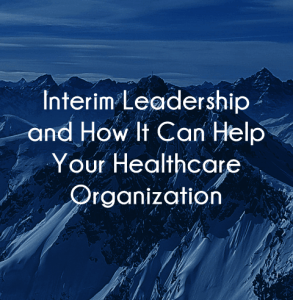 Interim Leadership Executive Search Firm